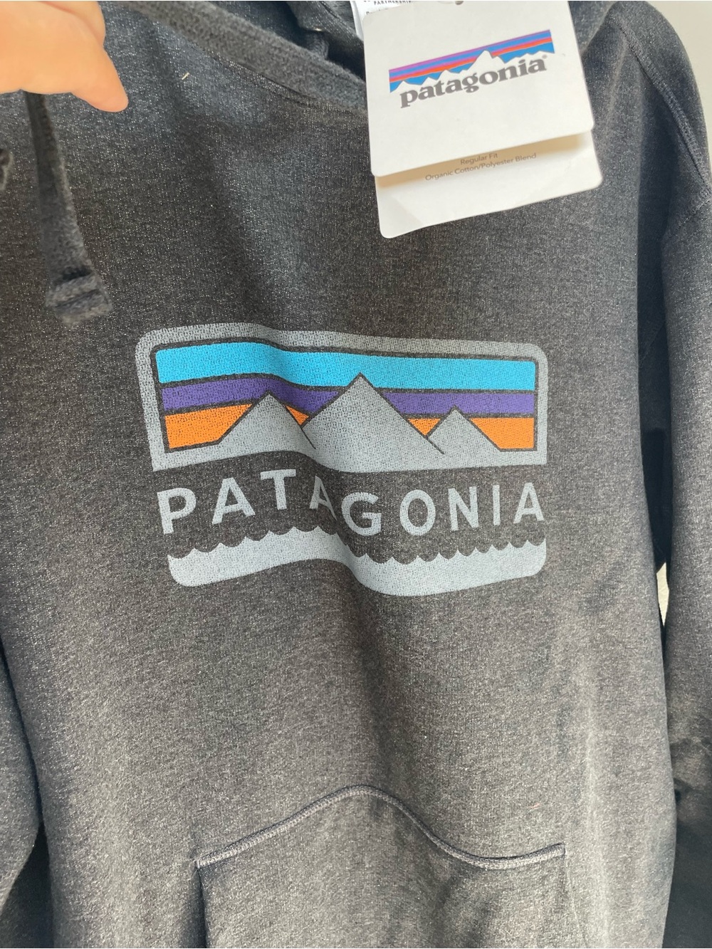 Patagonia hoodie size large nwt - Picture 2 of 4